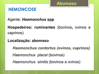 HEMONCOSE
Agente: Haemonchus spp
Hospedeiros: ruminantes (bovinos, ovinos e
caprinos)
Localização: abomaso
Haemonchus contortus (ovinos, caprinos)
Haemonchus placei (bovinos)
Haemonchus similis (bovinos e ovinos)
Abomaso
 