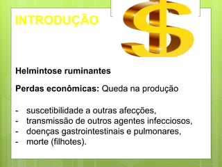 INTRODUÇÃO
Helmintose ruminantes
Perdas econômicas: Queda na produção
- suscetibilidade a outras afecções,
- transmissão de outros agentes infecciosos,
- doenças gastrointestinais e pulmonares,
- morte (filhotes).
 