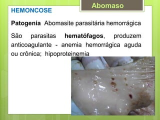 HEMONCOSE
Patogenia Abomasite parasitária hemorrágica
São parasitas hematófagos, produzem
anticoagulante - anemia hemorrágica aguda
ou crônica; hipoproteinemia
Abomaso
 