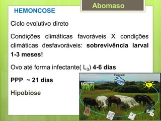 HEMONCOSE
Ciclo evolutivo direto
Condições climáticas favoráveis X condições
climáticas desfavoráveis: sobrevivência larval
1-3 meses!
Ovo até forma infectante( L3) 4-6 dias
PPP ~ 21 dias
Hipobiose
Abomaso
 