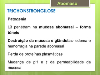 Patogenia
L3 penetram na mucosa abomasal – forma
túneis
Destruição da mucosa e glândulas- edema e
hemorragia na parede abomasal
Perda de proteínas plasmáticas
Mudança de pH e ↑ da permeabilidade da
mucosa
TRICHONSTRONGILOSE
Abomaso
 
