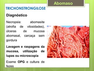 TRICHONSTRONGILOSE
Diagnóstico
Necropsia: abomasite
(atrofia de vilosidades),
úlceras de mucosa
abomasal, carcaça sem
gordura
Lavagem e raspagens da
mucosa, utilização de
lupas ou microscopia
Exame OPG e cultura de
fezes
Abomaso
 