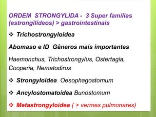 ORDEM STRONGYLIDA - 3 Super famílias
(estrongilídeos) > gastrointestinais
❖ Trichostrongyloidea
Abomaso e ID Gêneros mais importantes
Haemonchus, Trichostrongylus, Ostertagia,
Cooperia, Nematodirus
❖ Strongyloidea Oesophagostomum
❖ Ancylostomatoidea Bunostomum
❖ Metastrongyloidea ( > vermes pulmonares)
 