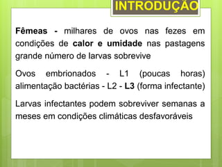 INTRODUÇÃO
Fêmeas - milhares de ovos nas fezes em
condições de calor e umidade nas pastagens
grande número de larvas sobrevive
Ovos embrionados - L1 (poucas horas)
alimentação bactérias - L2 - L3 (forma infectante)
Larvas infectantes podem sobreviver semanas a
meses em condições climáticas desfavoráveis
 