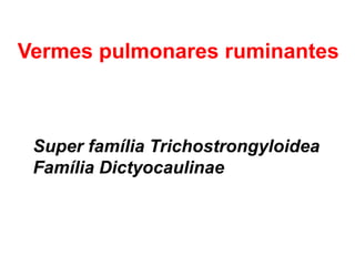 Vermes pulmonares ruminantes
Super família Trichostrongyloidea
Família Dictyocaulinae
 