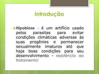 Introdução
Hipobiose - é um artifício usado
pelos parasitas para evitar
condições climáticas adversas às
suas progênies e permanecer
sexualmente imaturos até que
haja boas condições para seu
desenvolvimento - resistência ao
tratamento!
 