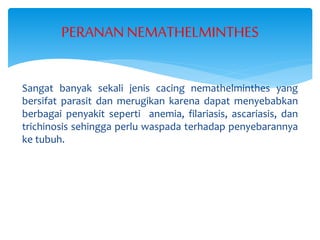 Sangat banyak sekali jenis cacing nemathelminthes yang
bersifat parasit dan merugikan karena dapat menyebabkan
berbagai penyakit seperti anemia, filariasis, ascariasis, dan
trichinosis sehingga perlu waspada terhadap penyebarannya
ke tubuh.
PERANANNEMATHELMINTHES
 