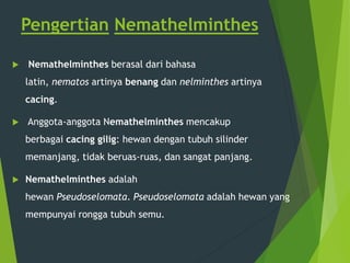 Pengertian Nemathelminthes
 Nemathelminthes berasal dari bahasa
latin, nematos artinya benang dan nelminthes artinya
cacing.
 Anggota-anggota Nemathelminthes mencakup
berbagai cacing gilig: hewan dengan tubuh silinder
memanjang, tidak beruas-ruas, dan sangat panjang.
 Nemathelminthes adalah
hewan Pseudoselomata. Pseudoselomata adalah hewan yang
mempunyai rongga tubuh semu.
 