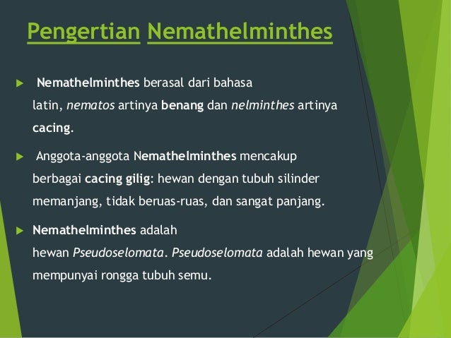 Nemathelminthes