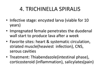 4. TRICHINELLA SPIRALIS
• Infective stage: encysted larva (viable for 10
years)
• Impregnated female penetrates the duodenal
wall start to produce lava after a week
• Favorite sites: heart & systematic circulation,
striated muscle(heaviest infection), CNS,
serous cavities
• Treatment: Thiabendazole(intestinal phase),
corticosteroid (inflammation), salicylates(pain)
 