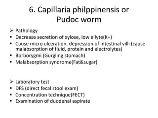 6. Capillaria philppinensis or
Pudoc worm
 Pathology
 Decrease secretion of xylose, low e’lyte(K+)
 Cause micro ulceration, depression of intestinal villi (cause
malabsorption of fluid, protein and electrolytes)
 Borborygmi (Gurgling stomach)
 Malabsorption syndrome(Fat&sugar)
 Laboratory test
 DFS (direct fecal stool exam)
 Concentration technique(FECT)
 Examination of duodenal aspirate
 