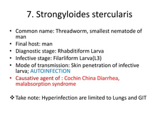 7. Strongyloides stercularis
• Common name: Threadworm, smallest nematode of
man
• Final host: man
• Diagnostic stage: Rhabditiform Larva
• Infective stage: Filarliform Larva(L3)
• Mode of transmission: Skin penetration of infective
larva; AUTOINFECTION
• Causative agent of : Cochin China Diarrhea,
malabsorption syndrome
Take note: Hyperinfection are limited to Lungs and GIT
 