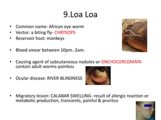 9.Loa Loa
• Common name: African eye worm
• Vector: a biting fly- CHRYSOPS
• Reservoir host: monkeys
• Blood smear between 10pm.-2am.
• Causing agent of subcutaneous nodules or ONCHOCERCOMATA
contain adult worms-painless
• Ocular disease: RIVER BLINDNESS
• Migratory lesion: CALABAR SWELLING- result of allergic reaction or
metabolic production, transients, painful & pruritus
 