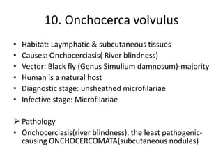 10. Onchocerca volvulus
• Habitat: Laymphatic & subcutaneous tissues
• Causes: Onchocerciasis( River blindness)
• Vector: Black fly (Genus Simulium damnosum)-majority
• Human is a natural host
• Diagnostic stage: unsheathed microfilariae
• Infective stage: Microfilariae
 Pathology
• Onchocerciasis(river blindness), the least pathogenic-
causing ONCHOCERCOMATA(subcutaneous nodules)
 