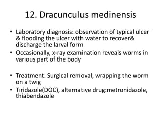 12. Dracunculus medinensis
• Laboratory diagnosis: observation of typical ulcer
& flooding the ulcer with water to recover&
discharge the larval form
• Occasionally, x-ray examination reveals worms in
various part of the body
• Treatment: Surgical removal, wrapping the worm
on a twig
• Tiridazole(DOC), alternative drug:metronidazole,
thiabendazole
 