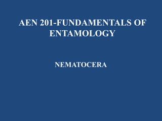 AEN 201-FUNDAMENTALS OF
ENTAMOLOGY
NEMATOCERA
 