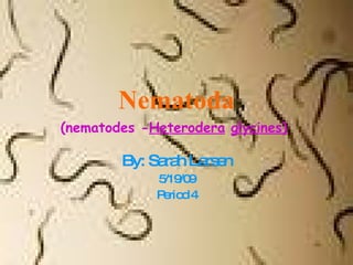 Nematoda (nematodes - Heterodera   glycines)   By: Sarah Larsen 5/19/09 Period 4 