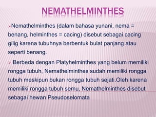NEMATHELMINTHES
Nemathelminthes (dalam bahasa yunani, nema =
benang, helminthes = cacing) disebut sebagai cacing
gilig karena tubuhnya berbentuk bulat panjang atau
seperti benang.
 Berbeda dengan Platyhelminthes yang belum memiliki
rongga tubuh, Nemathelminthes sudah memiliki rongga
tubuh meskipun bukan rongga tubuh sejati.Oleh karena
memiliki rongga tubuh semu, Nemathelminthes disebut
sebagai hewan Pseudoselomata
 