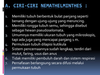 A. CIRI-CIRI NEMATHELMINTHES :
1. Memiliki tubuh berbentuk bulat panjang seperti
benang dengan ujung-ujung yang meruncing.
2. Memiliki rongga tubuh semu, sehingga disebut
sebagai hewan pseudoselomata.
3. Umumnya memiliki ukuran tubuh yang mikroskopis,
tapi ada juga yang mencapai panjang 1 m.
4. Permukaan tubuh dilapisi kutikula
5. Sistem pencernaannya sudah lengkap, terdiri dari
mulut, faring, usus dan anus
6. Tidak memiliki pembuluh darah dan sistem respirasi
7. Pernafasan berlangsung secara difusi melalui
permukaan tubuh
 
