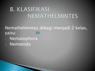 Nemathelmintes dibagi menjadi 2 kelas,
yaitu:
1. Nematophora
2. Nematoda
 