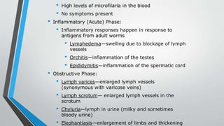 • High levels of microfilaria in the blood
• No symptoms present
• Inflammatory (Acute) Phase:
• Inflammatory responses happen in response to
antigens from adult worms
• Lymphedema—swelling due to blockage of lymph
vessels
• Orchitis—inflammation of the testes
• Epididymitis—inflammation of the spermatic cord
• Obstructive Phase:
• Lymph varices—enlarged lymph vessels
(synonymous with varicose veins)
• Lymph scrotum— enlarged lymph vessels in the
scrotum
• Chyluria—lymph in urine (milky and sometimes
bloody urine)
• Elephantiasis—enlargement of limbs and thickening
 