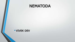 NEMATODA
•VIVEK DEV
 