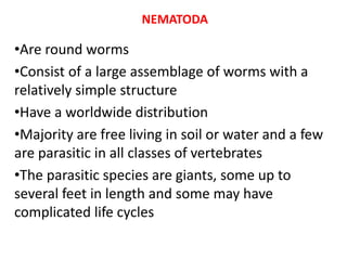 NEMATODA
•Are round worms
•Consist of a large assemblage of worms with a
relatively simple structure
•Have a worldwide distribution
•Majority are free living in soil or water and a few
are parasitic in all classes of vertebrates
•The parasitic species are giants, some up to
several feet in length and some may have
complicated life cycles
 