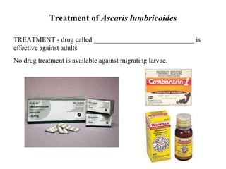 Treatment of  Ascaris lumbricoides TREATMENT - drug called _____________________________ is effective against adults. No drug treatment is available against migrating larvae.   
