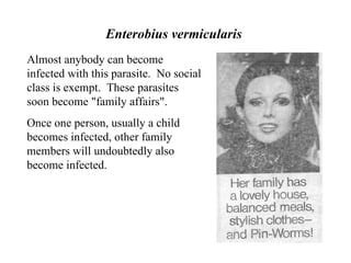 Enterobius vermicularis  Almost anybody can become infected with this parasite.  No social class is exempt.  These parasites soon become "family affairs". Once one person, usually a child becomes infected, other family members will undoubtedly also become infected.   