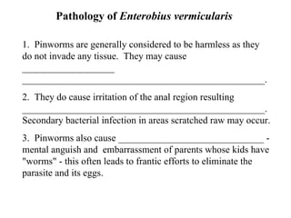 Pathology of  Enterobius vermicularis  1.  Pinworms are generally considered to be harmless as they do not invade any tissue.  They may cause ___________________ __________________________________________________. 2.  They do cause irritation of the anal region resulting __________________________________________________.  Secondary bacterial infection in areas scratched raw may occur. 3.  Pinworms also cause ______________________________ - mental anguish and  embarrassment of parents whose kids have "worms" - this often leads to frantic efforts to eliminate the parasite and its eggs. 