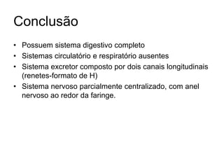 Conclusão 
• Possuem sistema digestivo completo 
• Sistemas circulatório e respiratório ausentes 
• Sistema excretor composto por dois canais longitudinais 
(renetes-formato de H) 
• Sistema nervoso parcialmente centralizado, com anel 
nervoso ao redor da faringe. 
 