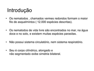 Introdução 
• Os nematodos , chamados vermes redondos formam o maior 
filo de asquelmintos ( 12.000 espécies descritas). 
• Os nematodos de vida livre são encontrados no mar, na água 
doce e no solo, e existem muitas espécies parasitas. 
• Não possui sistema circulatório, nem sistema respiratório. 
• Seu é corpo cilíndrico, alongado e 
não segmentado exibe simetria bilateral. 
 