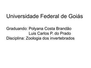 Universidade Federal de Goiás 
Graduando: Polyana Costa Brandão 
Luis Carlos P. do Prado 
Disciplina: Zoologia dos invertebrados 
 