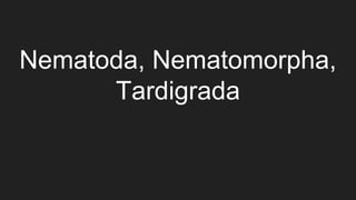 Nematoda, Nematomorpha,
Tardigrada
 