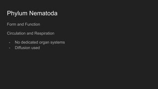 Phylum Nematoda
Form and Function
Circulation and Respiration
- No dedicated organ systems
- Diffusion used
 