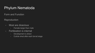 Phylum Nematoda
Form and Function
Reproduction
- Most are dioecious
- Female larger than male
- Fertilization is internal
- Development is direct
- Cuticle shed after each larval stage
 