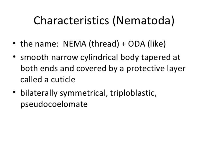 are nematodes segmented