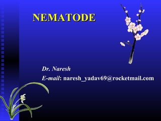 NEMATODENEMATODE
Dr. Naresh
E-mail: naresh_yadav69@rocketmail.com
 