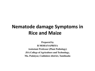 Nematode damage Symptoms in
Rice and Maize
Prepared by
R MOHANAPRIYA
Assisstant Professor (Plant Pathology)
JSA College of Agriculture and Technology,
Ma. Podaiyur, Cuddalore district, Tamilnadu
 