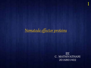 Nematode effector proteins
1
BY
C. MATHIVATHANI
2016801402
 