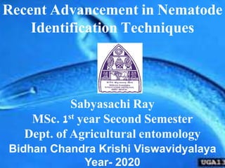 Recent Advancement in Nematode
Identification Techniques
Sabyasachi Ray
MSc. 1st year Second Semester
Dept. of Agricultural entomology
Bidhan Chandra Krishi Viswavidyalaya
Year- 2020
 