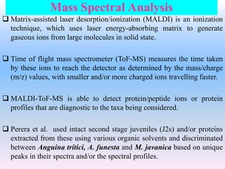 Mass Spectral Analysis
 Matrix-assisted laser desorption/ionization (MALDI) is an ionization
technique, which uses laser energy-absorbing matrix to generate
gaseous ions from large molecules in solid state.
 Time of flight mass spectrometer (ToF-MS) measures the time taken
by these ions to reach the detector as determined by the mass/charge
(m/z) values, with smaller and/or more charged ions travelling faster.
 MALDI-ToF-MS is able to detect protein/peptide ions or protein
profiles that are diagnostic to the taxa being considered.
 Perera et al. used intact second stage juveniles (J2s) and/or proteins
extracted from these using various organic solvents and discriminated
between Anguina tritici, A. funesta and M. javanica based on unique
peaks in their spectra and/or the spectral profiles.
 