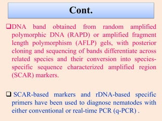 Cont.
DNA band obtained from random amplified
polymorphic DNA (RAPD) or amplified fragment
length polymorphism (AFLP) gels, with posterior
cloning and sequencing of bands differentiate across
related species and their conversion into species-
specific sequence characterized amplified region
(SCAR) markers.
 SCAR-based markers and rDNA-based specific
primers have been used to diagnose nematodes with
either conventional or real-time PCR (q-PCR) .
 