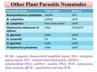 Other Plant Parasitic Nematodes
Nematode species Target region Method
Bursaphelencus xylophilus satDNA PCR
B. xylophilus satDNA qPCR
B. xylophilus heat shock protein qPCR
Ditylenchus destructor D.
dipsaci
rDNA PCR/qPCR
H. glycines rDNA qPCR
H. schachtii ITS PCR
H. glycines SCAR qPCR
Pratylenchus penetrans rDNA qPCR
SCAR—sequence characterized amplified region; IGS—intergenic
spacer region; ITS—internal transcribed spacer; mtDNA—
mitochondrial DNA; satDNA—satellite DNA; PCR—polymerase
chain reaction; qPCR—quantitative real-time PCR.
 