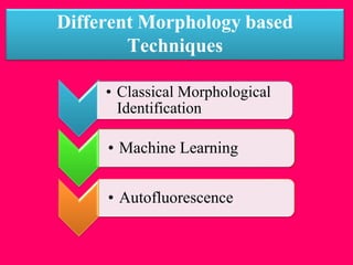 Different Morphology based
Techniques
• Classical Morphological
Identification
• Machine Learning
• Autofluorescence
 