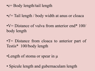 •c= Body length/tail length
•c'= Tail length / body width at anus or cloaca
•V= Distance of vulva from anterior end* 100/
body length
•T= Distance from cloaca to anterior part of
Testis* 100/body length
•Length of stoma or spear in µ
• Spicule length and gubernaculam length
 