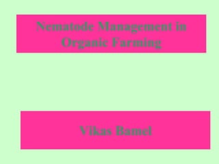 Nematode Management in
Organic Farming
Vikas Bamel
 