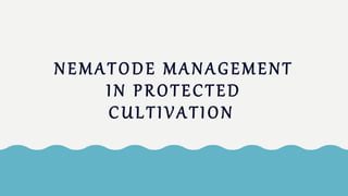 NEMATODE MANAGEMENT
IN PROTECTED
CULTIVATION
 