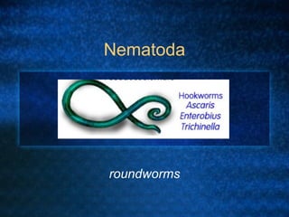 Nematoda




roundworms
 