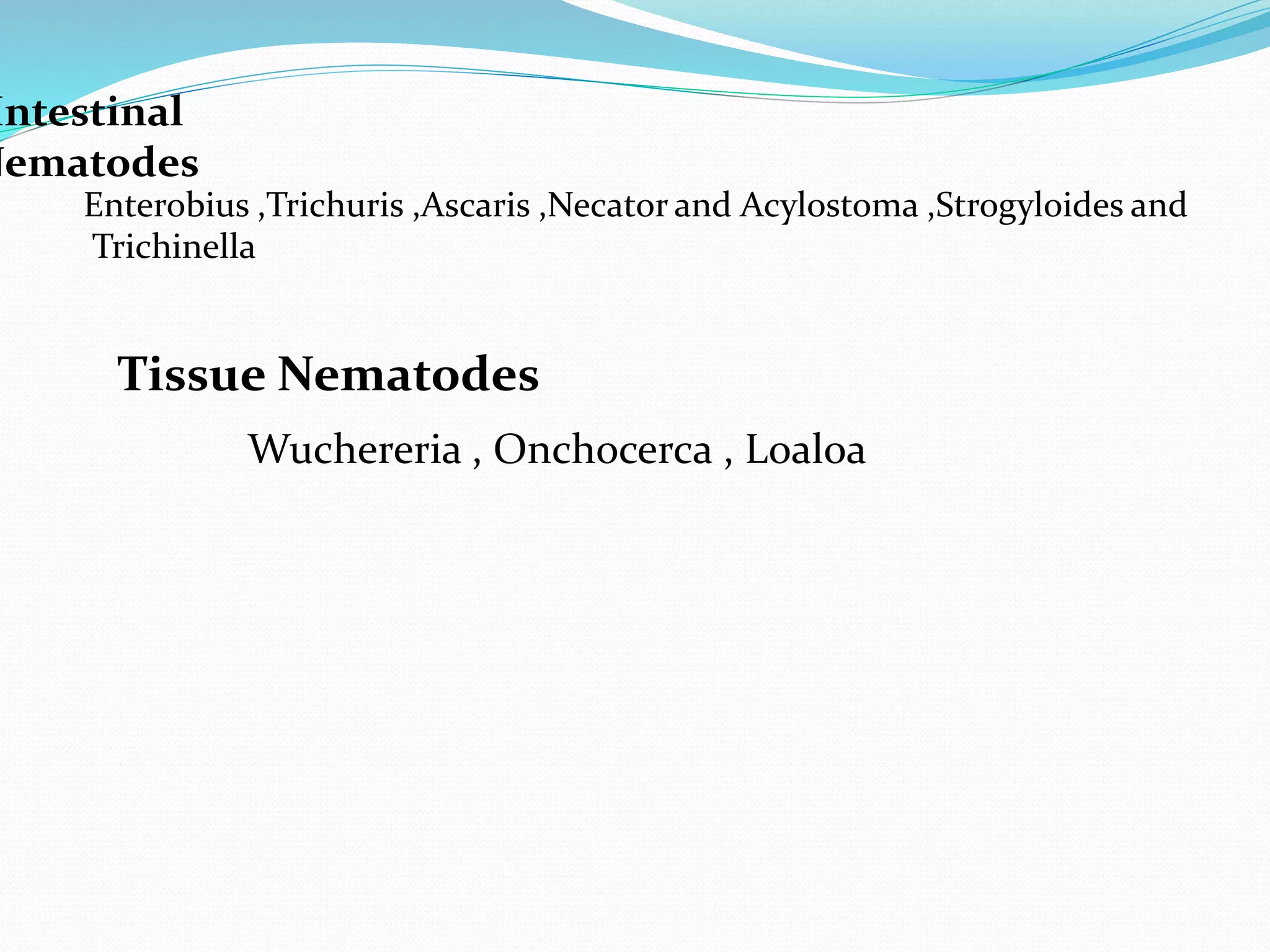 Intestinal
Nematodes
Enterobius ,Trichuris ,Ascaris ,Necator and Acylostoma ,Strogyloides and
Trichinella
Tissue Nematodes
Wuchereria , Onchocerca , Loaloa
 